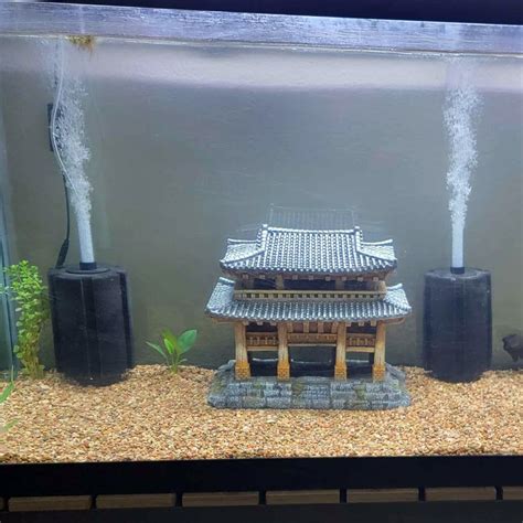125 gallon sponge filter.
